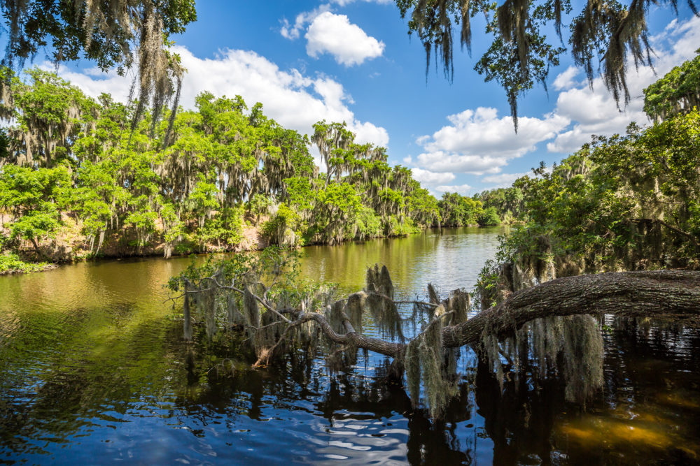 Descubre la versatilidad, cultura y naturaleza de Florida Central