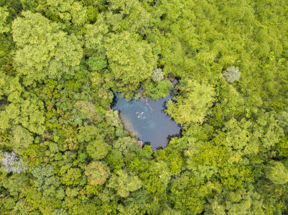 Reserva-Ecologica-Ojos-Indigenas-8-1000x749 - Tienes que vivir Tortuga Bay Puntacana, donde cada viaje se convierte en historia