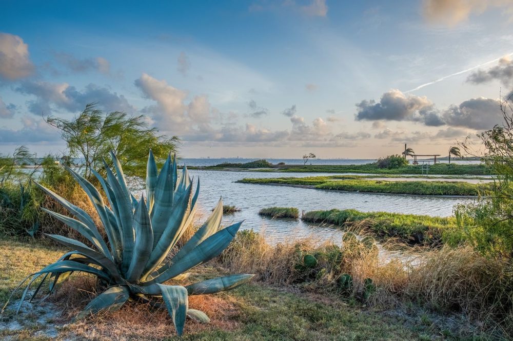 TAL-corpus-christi-texas-AFRDWARMDEST0125-5d9b1ac1663b4711afb96d47c1169c58-1000x665 - Englewood, Florida: el refugio soleado y económico para escapar del frío