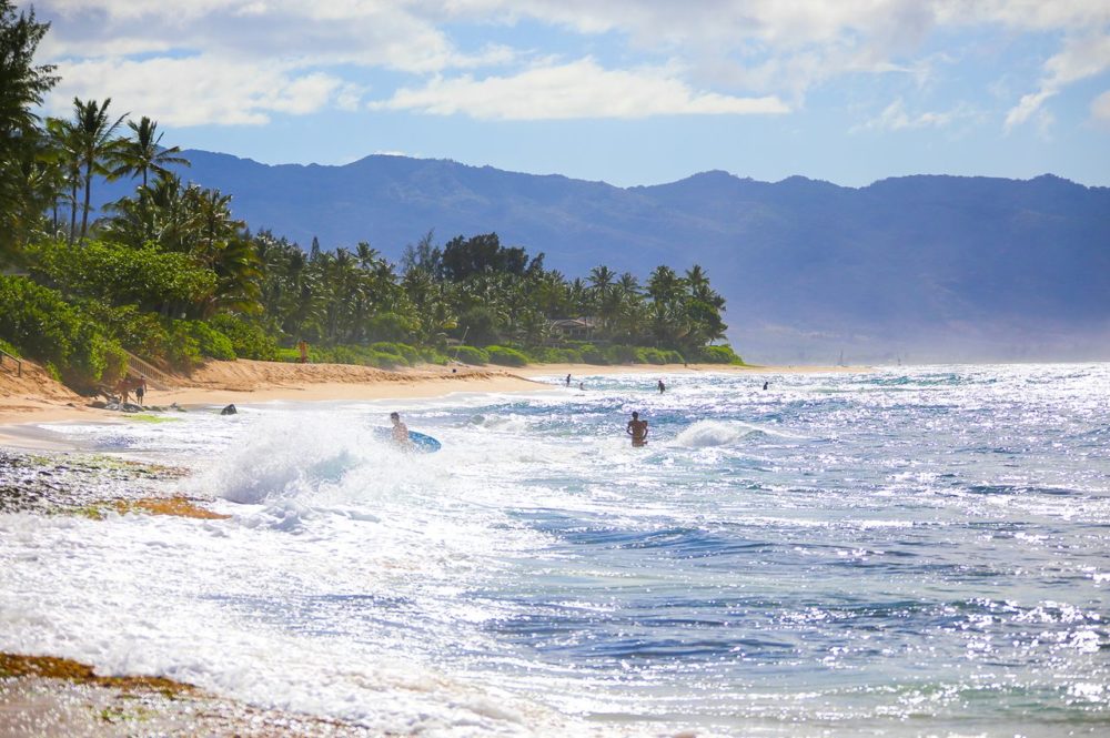TAL-north-shore-oahu-BEAUTFULCOASTLINES1225-1b5b6168b10c4aa782d1c8023cba29c4-1000x665 - De Amalfi a Milford Sound: las costas que enamoran a los viajeros