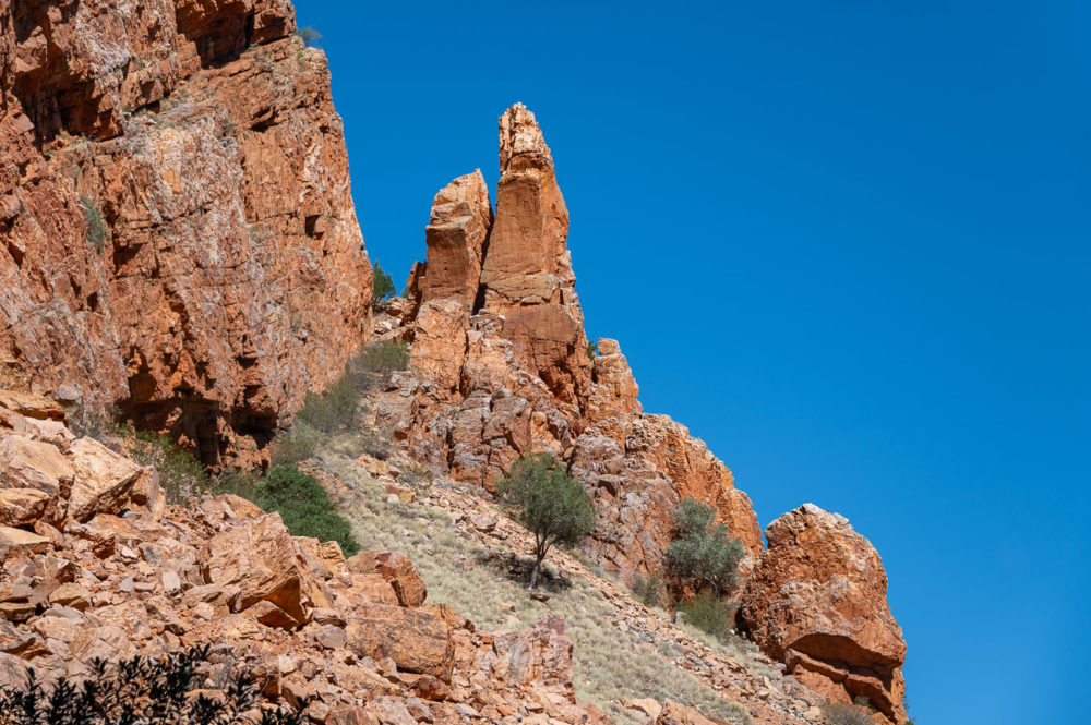 Viaje al centro de Australia: experiencia Outback en el Red Centre