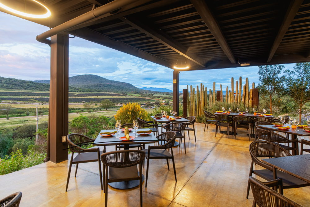 Vertical: comida de estaciones 