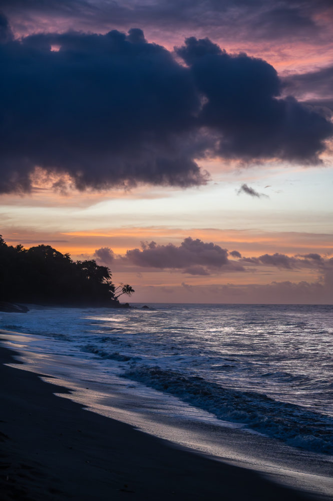 atardecer-Grande-Riviere-Beach-Mt-Plaisir-Estate-Hotel-Trinidad-1-665x1000 - Animales del Caribe: murciélagos, aves y tortugas en Trinidad