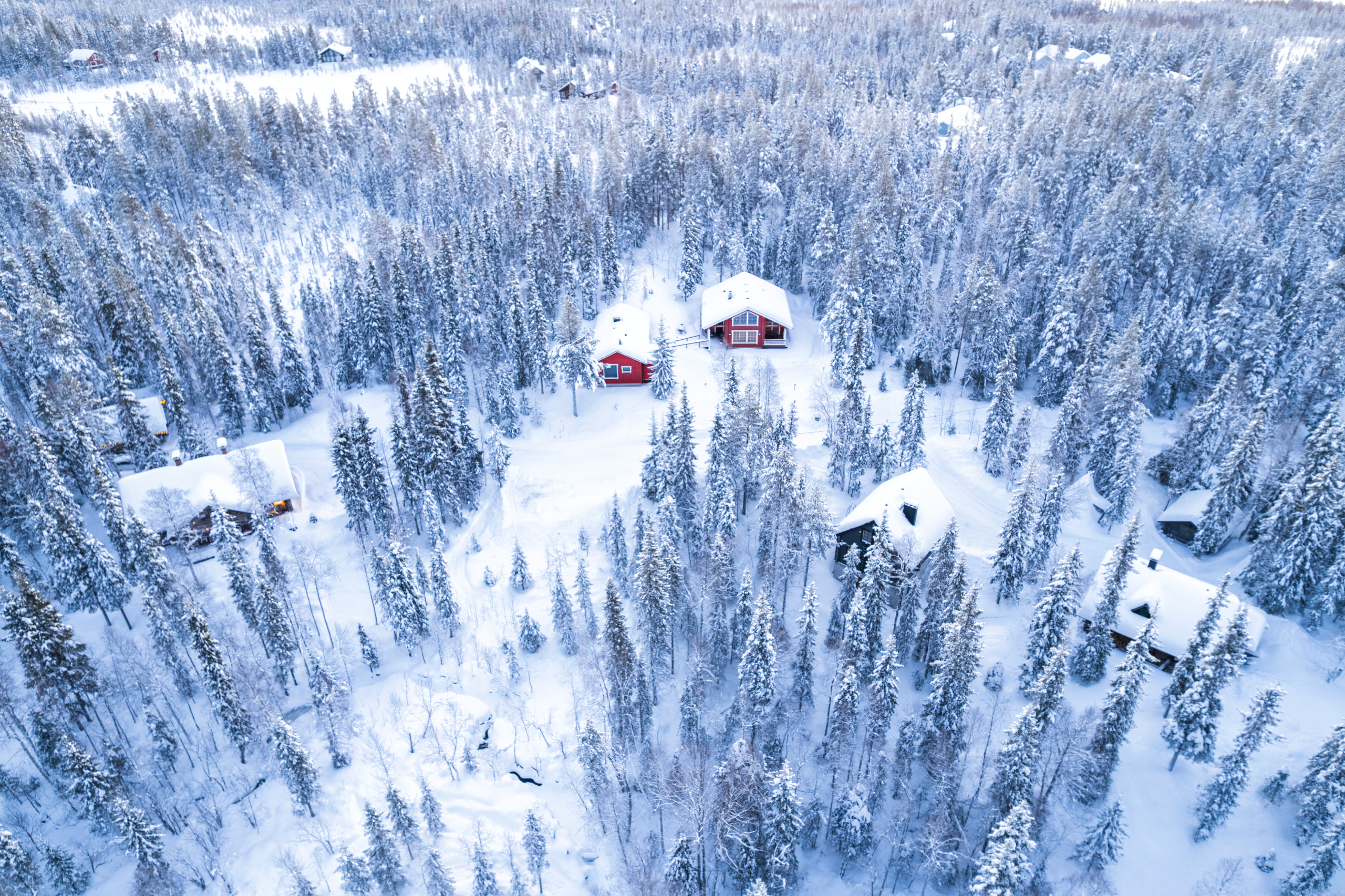 Los mejores destinos para viajar con niños en Navidad 