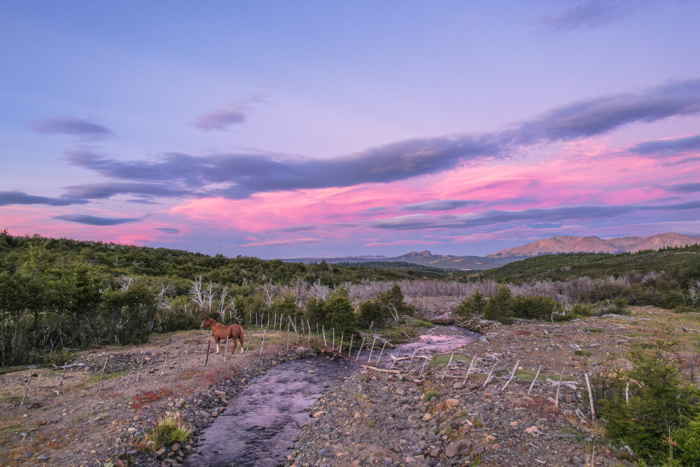 Chubut de mar a montaña: ruta entrañable por la Patagonia argentina