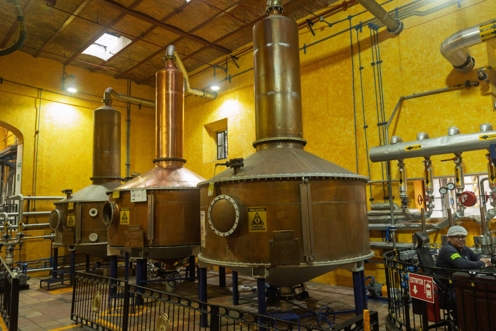 Copia-de-RESERVA-199-1000x667 - Tequila Reserva de la Familia y la artista Alejandra Venegas colaboran en una edición conmemorativa