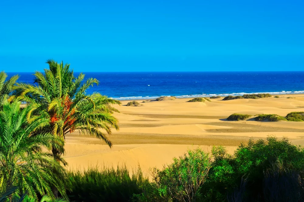 dunas-maspalomas-1000x664 - Maspalomas y otras playas que no te puedes perder en Gran Canaria