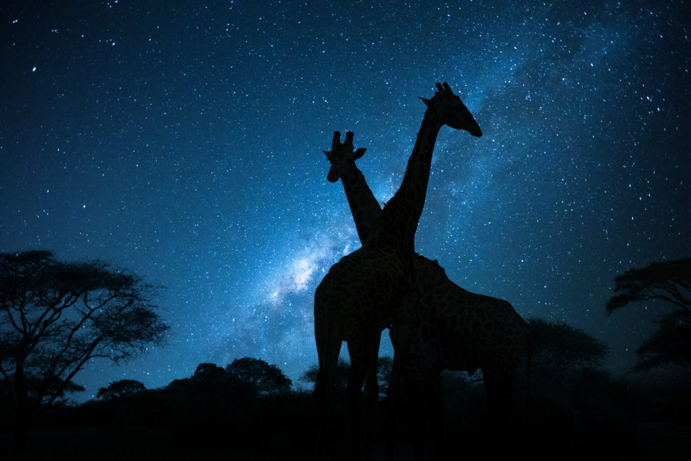 iStock-1626746649-1000x667 - Noctourism: por qué viajar de noche es la nueva tendencia en turismo