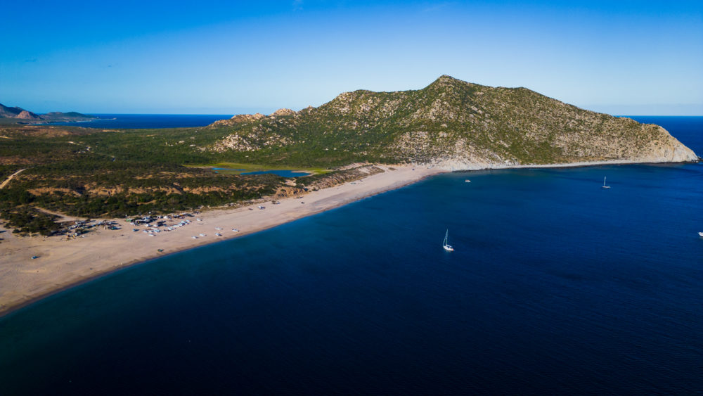 Este es el tesoro marino de la Península de la Baja Sur