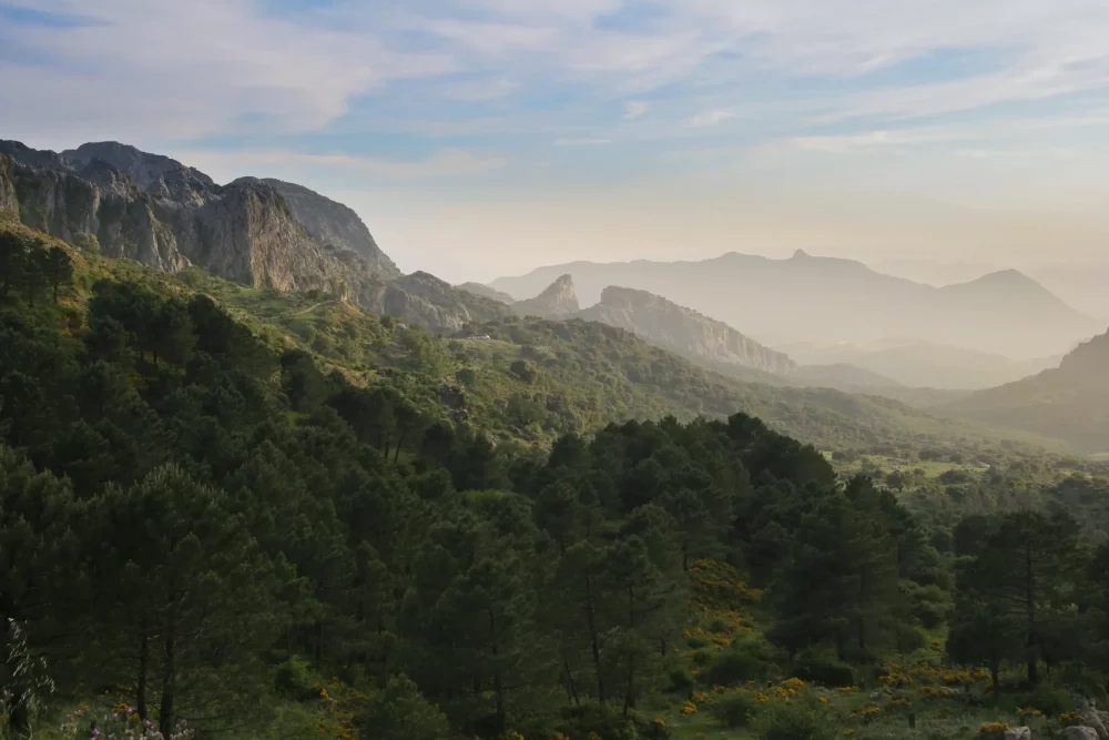 sierra-de-grazalema-1000x667 - Grazalema, la sierra de Cádiz donde vivir el invierno en el sur