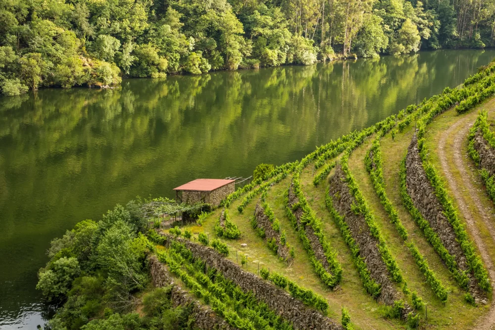 sil-ribeira-sacra-1000x667 - Ribeira Sacra, vinos y un paisaje de ensueño