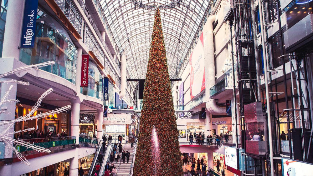 Canda-Arbol-1000x563 - Las mejores actividades para disfrutar del invierno en Ontario y Quebec