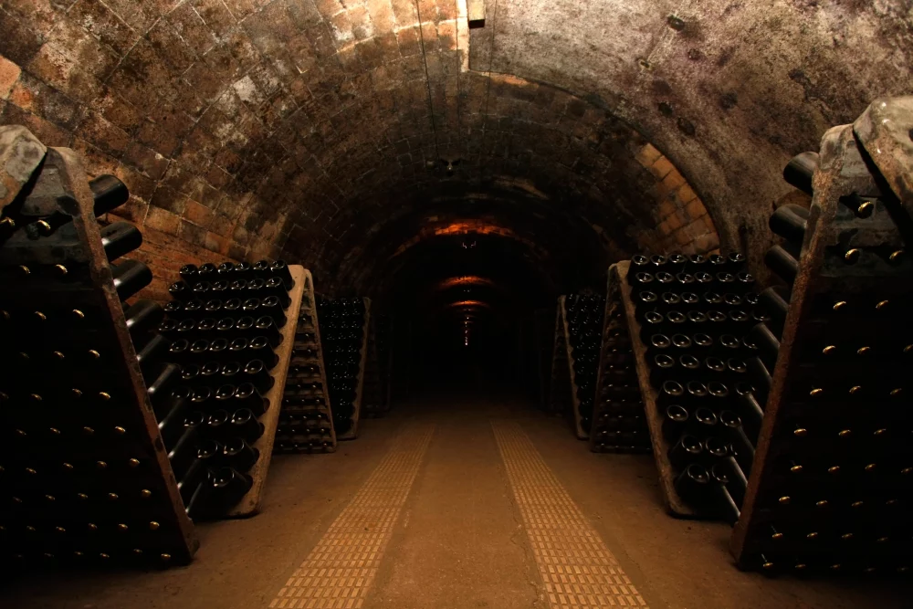 bodega-de-vino-1000x667 - Barcelona Wine Week levanta el telón como epicentro del vino español 