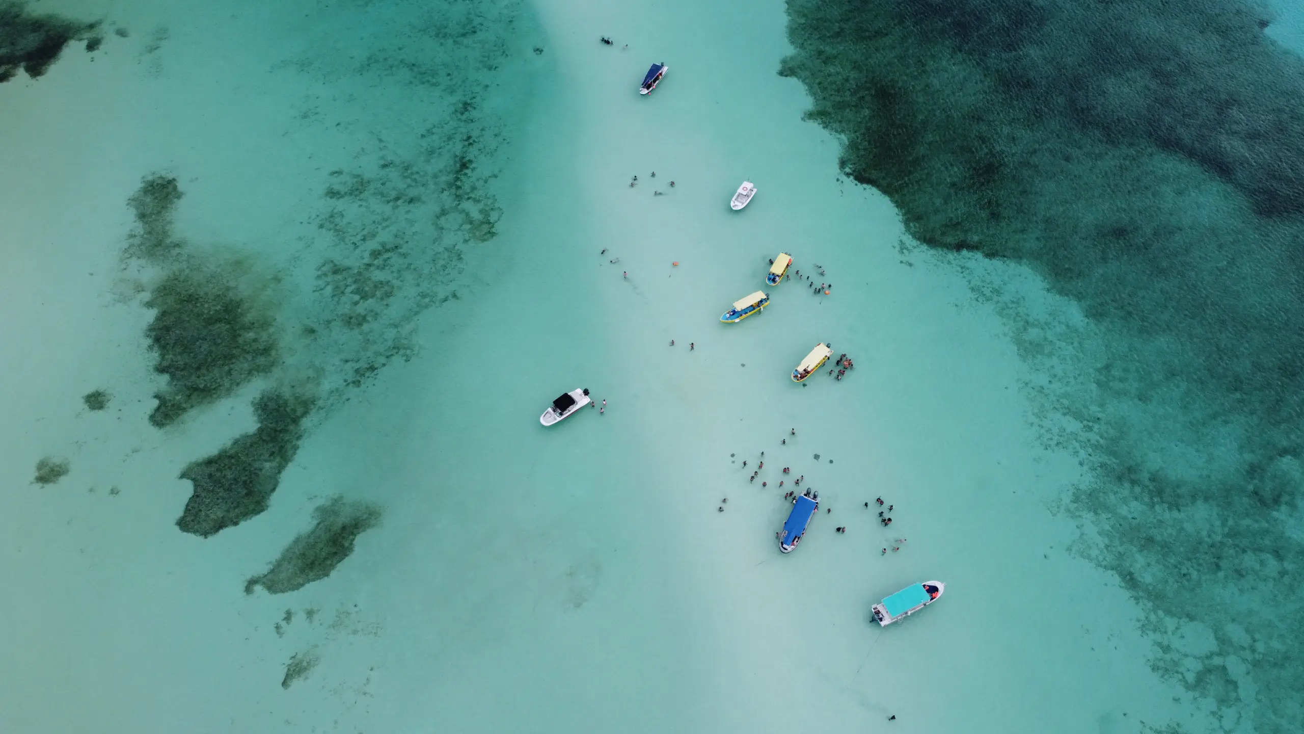 Las mejores playas, según los Traveler’s Choice de TripAdvisor
