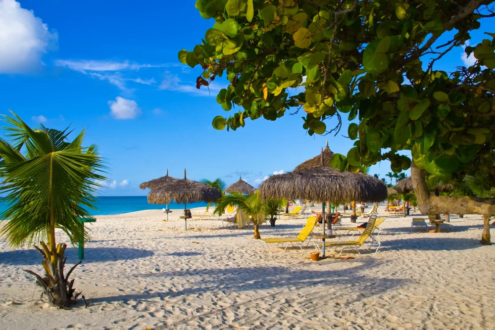 eagle-beach-aruba-1000x667 - Las mejores playas, según los Traveler's Choice de TripAdvisor