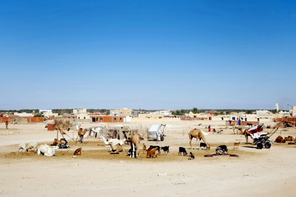 iStock-178559076-1000x667 - 12 de los lugares más calurosos de la Tierra