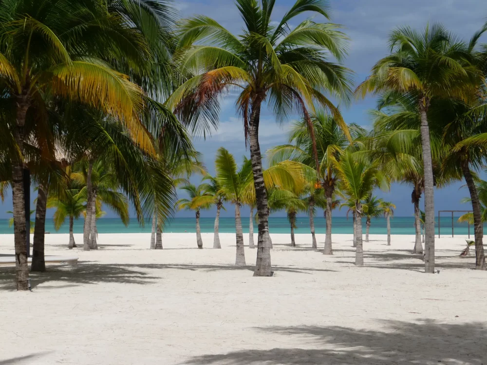 isla-pasion-cozumel-1000x750 - Las mejores playas, según los Traveler's Choice de TripAdvisor