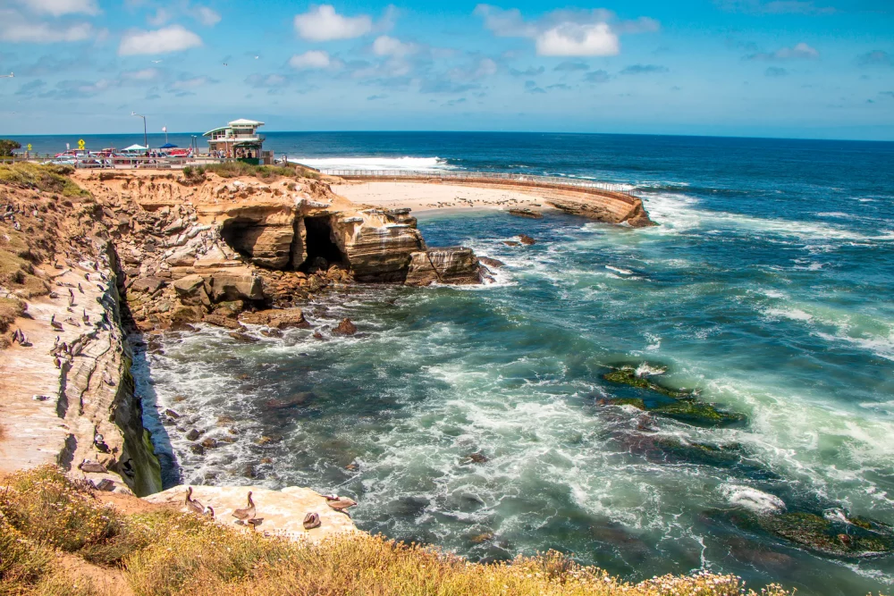 la-jolla-cove-1000x667 - Las mejores playas, según los Traveler's Choice de TripAdvisor