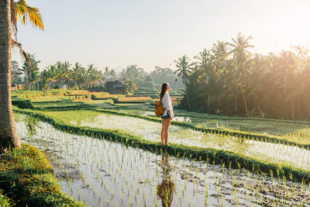 mujer-en-campo-arroz-1000x667 - Bali: Mejor Destino del Mundo 2026, según TripAdvisor 