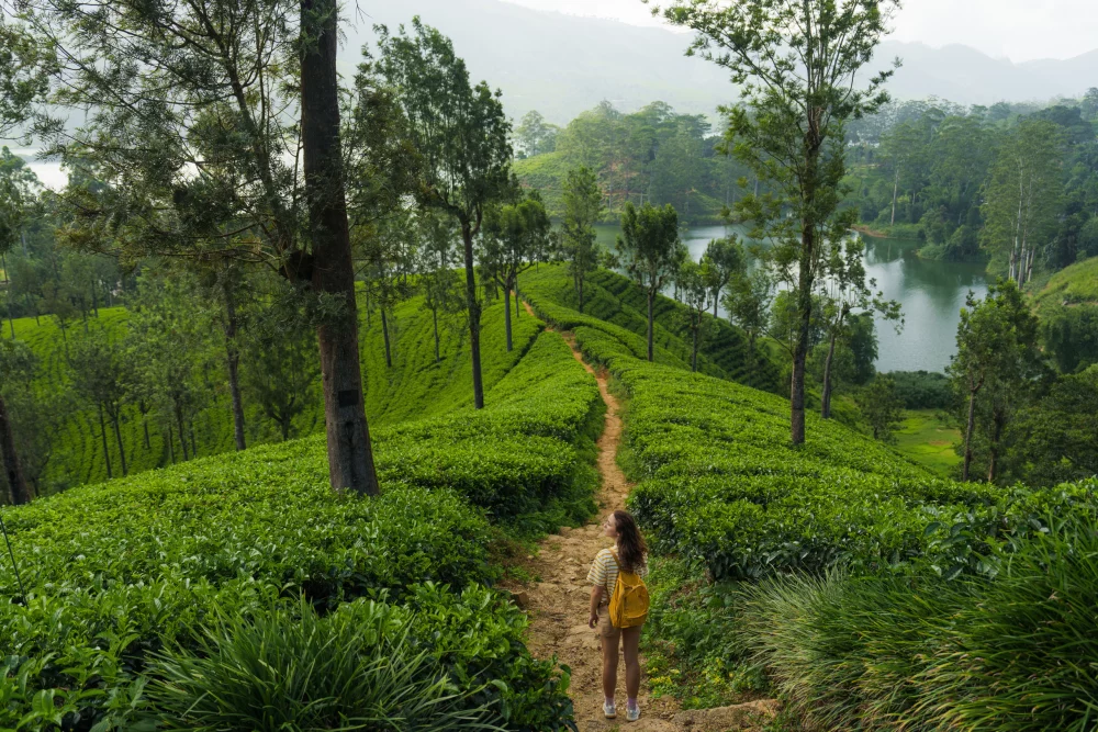 mujer-explorando-naturaleza-1000x667 - Viajar en España 2026: las 5 tendencias que marcarán tus próximas escapadas