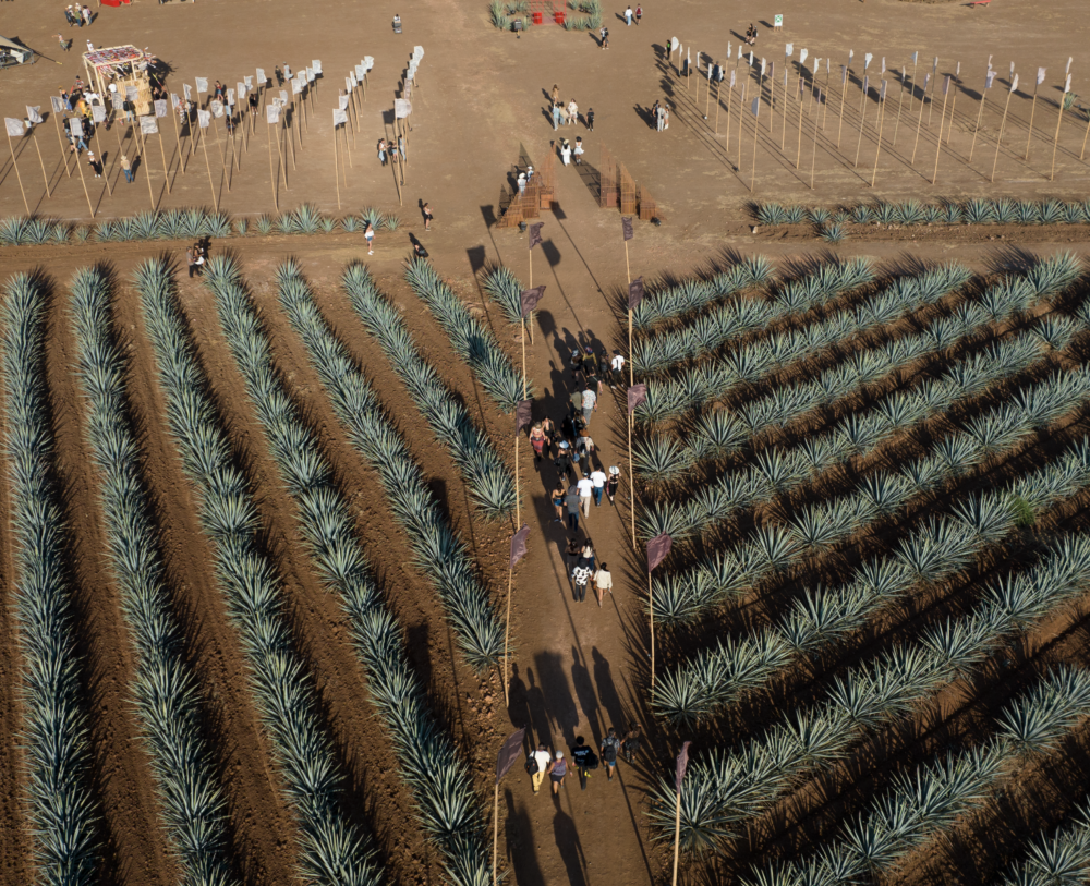 AK_Experience23-1000x813 - Akamba revela su lineup 2026: una fiesta electrónica entre campos de agave azul