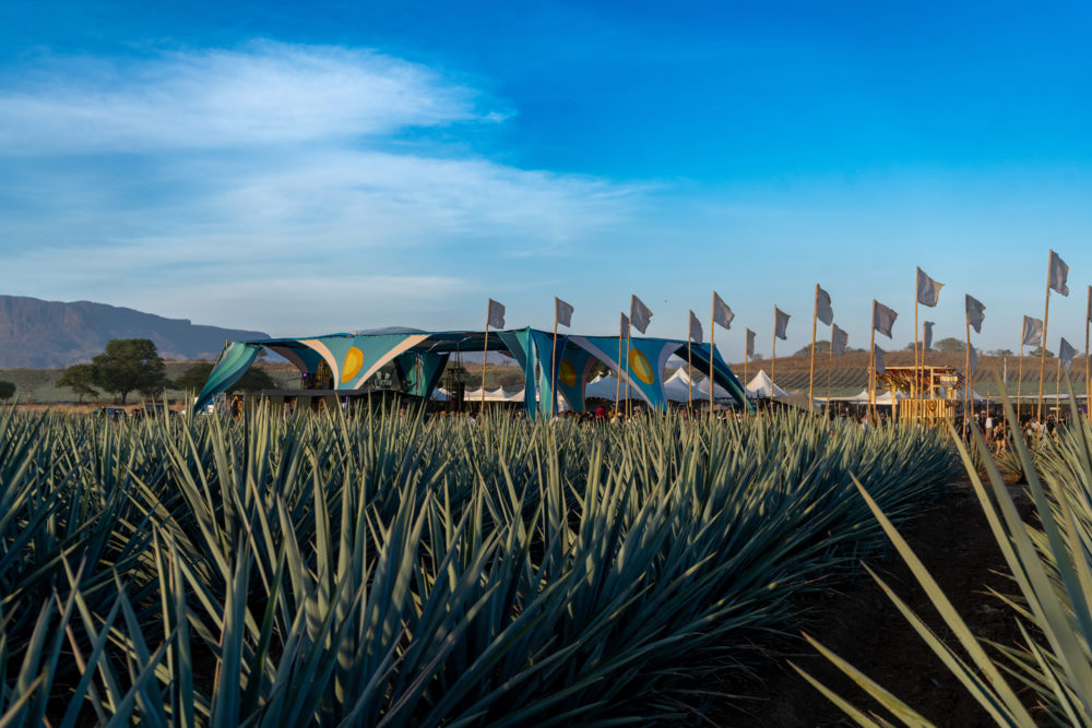Akamba revela su lineup 2026: una fiesta electrónica entre campos de agave azul