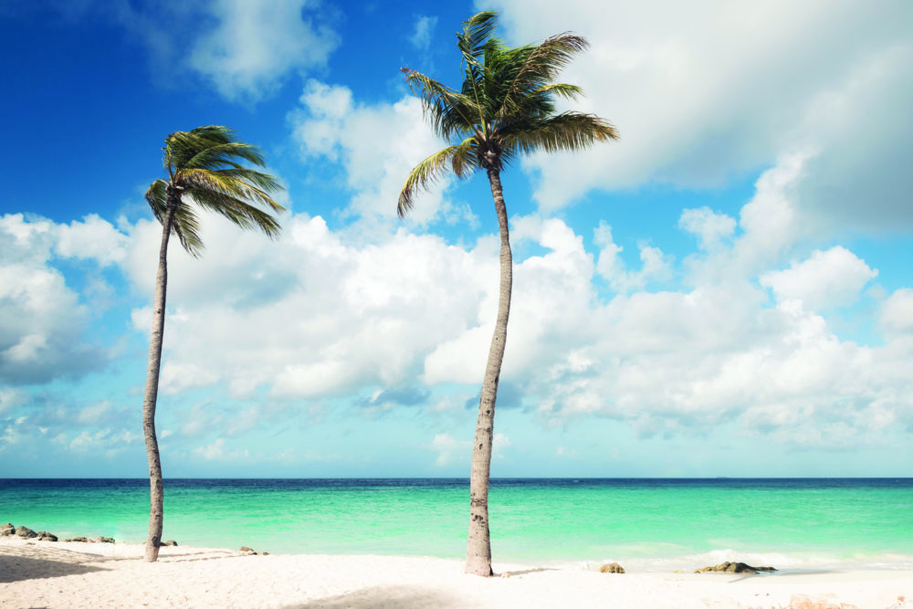 Beaches-2-1-1000x667 - Aruba, el destino perfecto para disfrutar sin prisas  