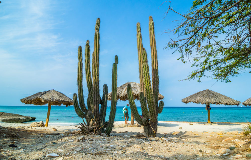 Boca-Catalina-2-1-1000x637 - Aruba, el destino perfecto para disfrutar sin prisas  
