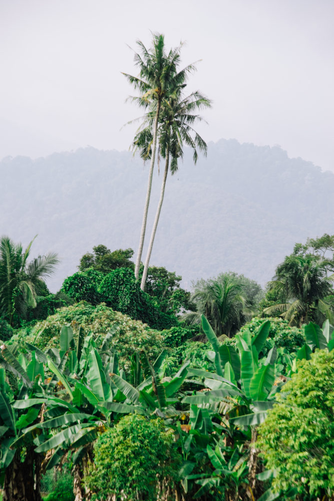 Eastern-Oriental-Express-Gloria-Montanaro-188-667x1000 - Eastern & Oriental Express: el tren de lujo donde Malasia se descubre a través de la cocina
