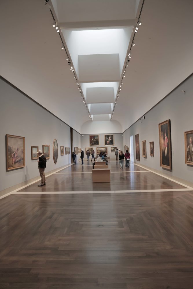 M2A0959-667x1000 - Houston, un mundo por descubrir