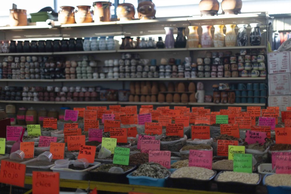 M2A7408-1000x667 - Houston, un mundo por descubrir