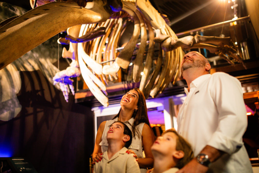 MUNBA-Mar-de-historias-49-1000x667 - Sol, playa y alma histórica: Mazatlán, México