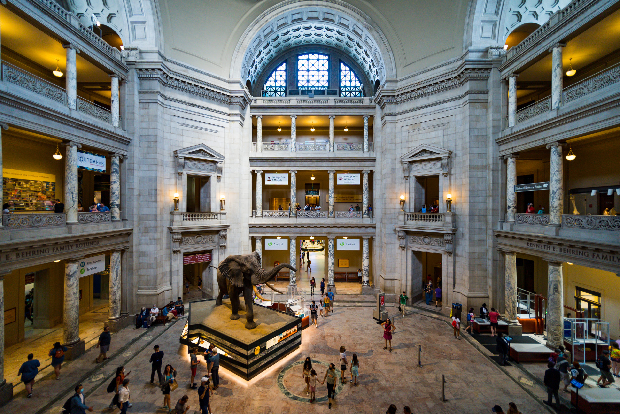 Smithsonian Sleepover: la experiencia para dormir dentro de un museo en Washington, DC