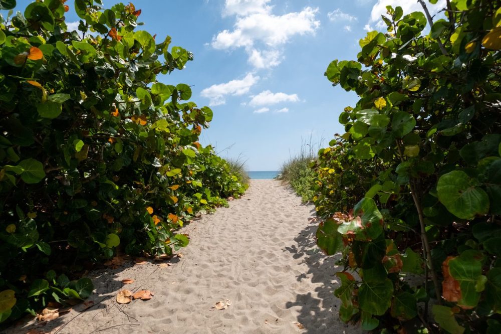TAL-best-time-to-visit-JENSENBEACHFL1125-c8a4a692911d4d499fb15c0d449792a2-1000x666 - Jensen Beach, el encanto tranquilo de la vieja Florida