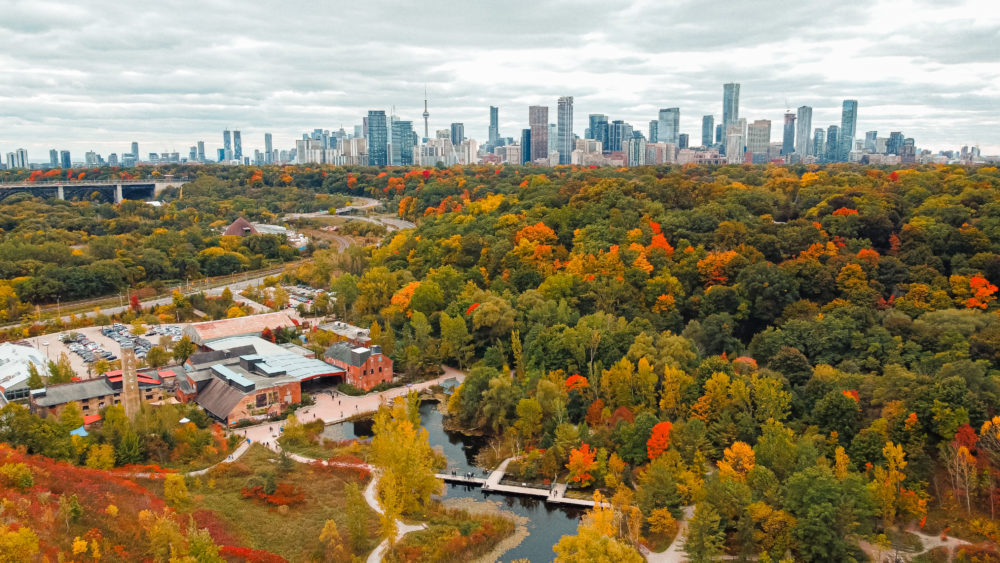 Toronto-1-1000x563 - Toronto: cultura, sabores y vistas infinitas