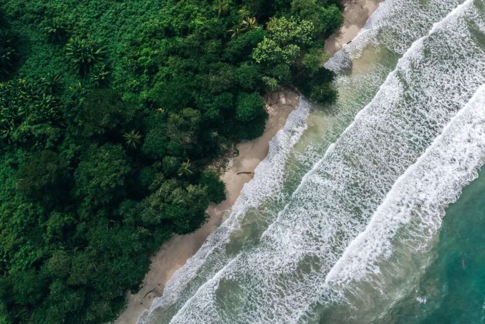 paisaje-costa-rica-1000x668 - Limón, el destino emergente que lidera las búsquedas de viajes para 2026 
