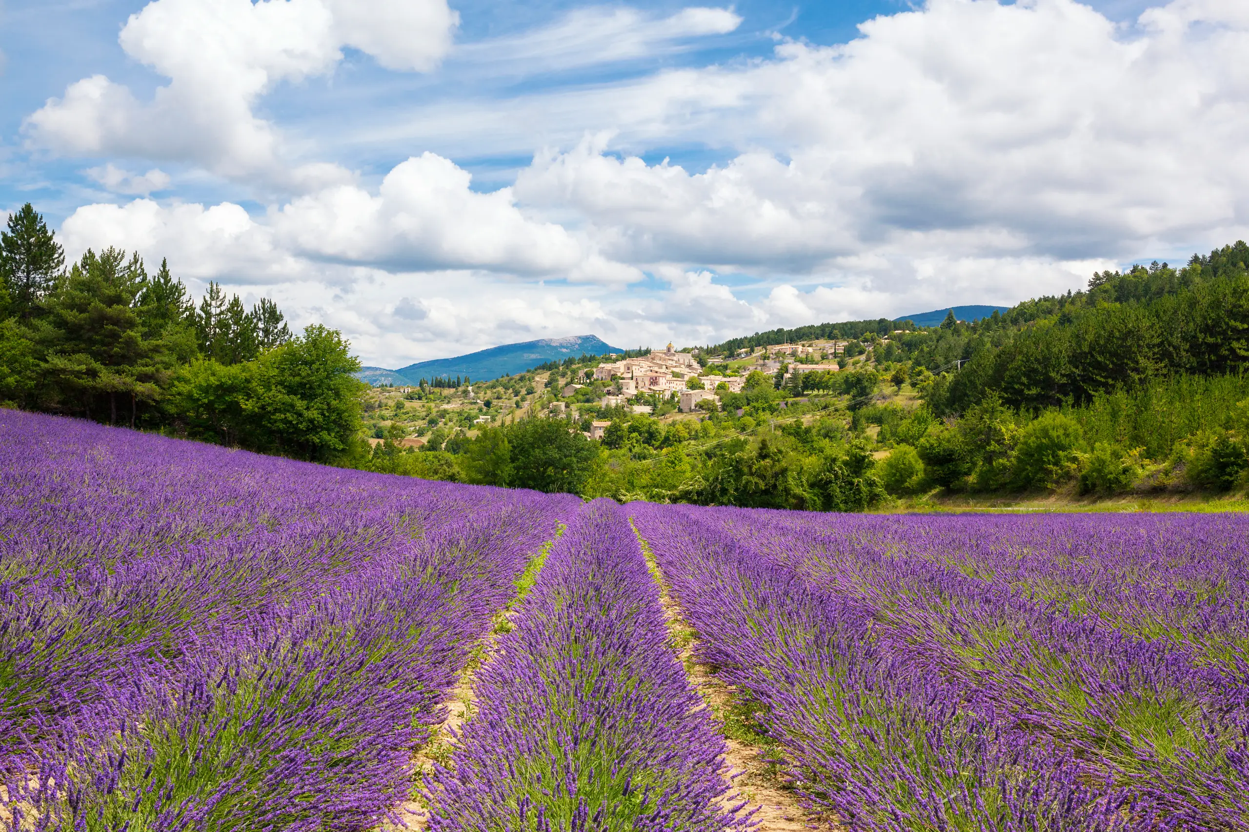 Comienza la primavera: cinco destinos para esta época del año