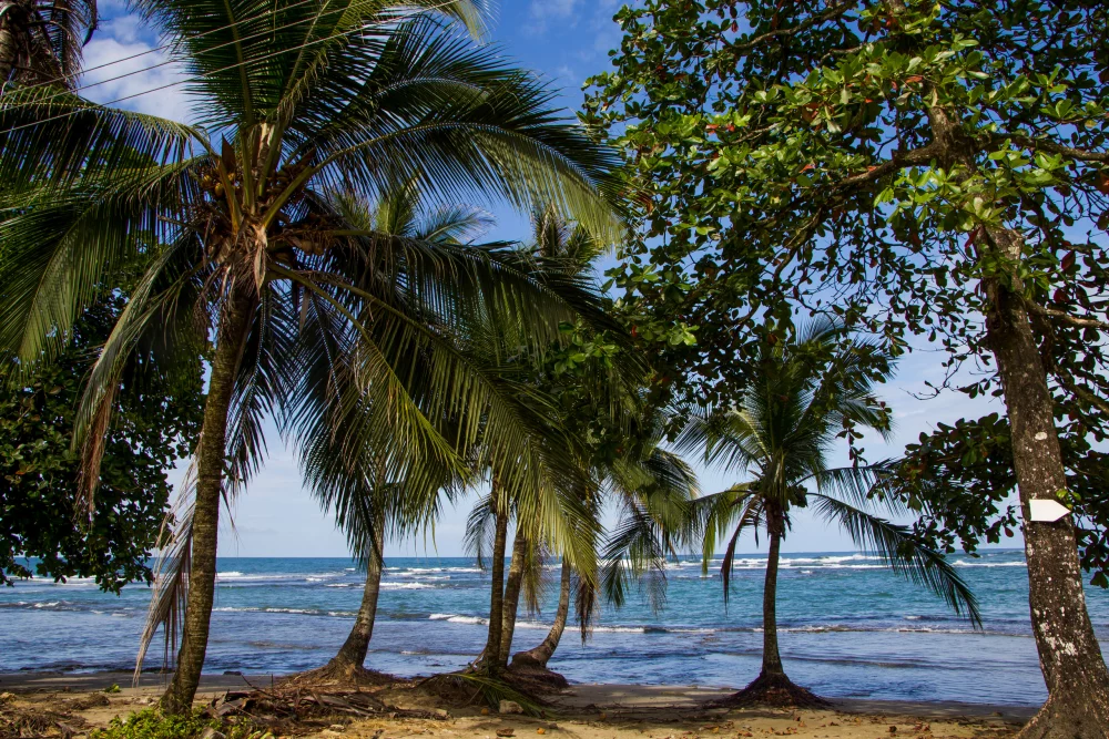 Limón, el destino emergente que lidera las búsquedas de viajes para 2026 