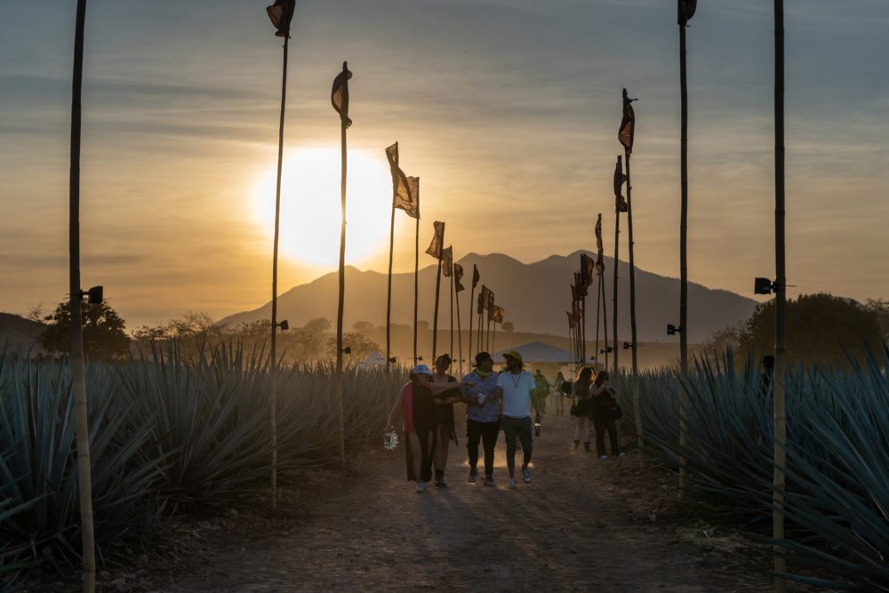 Akamba 2026: fuego, ritmo y Tierra