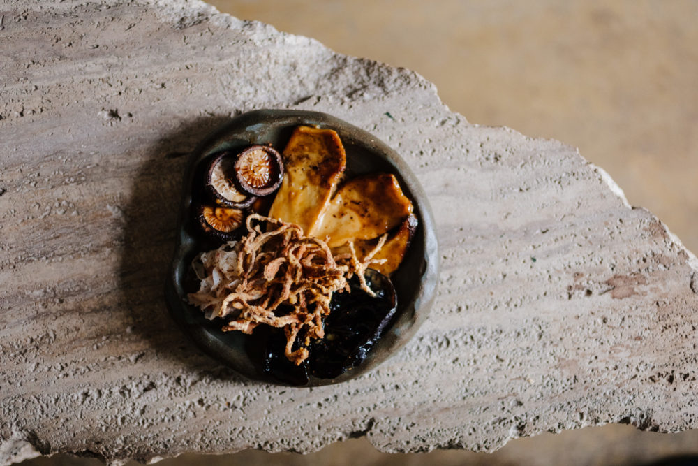 Musgo: un viaje sensorial de Rusia a la Patagonia Argentina