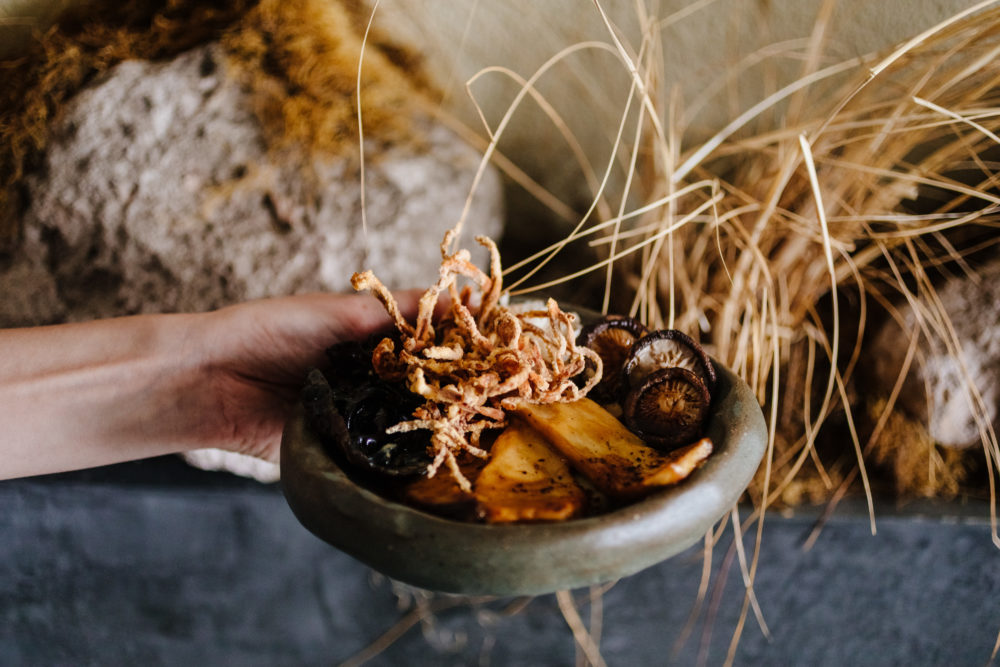 Hongos-asiaticos_5-1000x667 - Musgo: un viaje sensorial de Rusia a la Patagonia Argentina