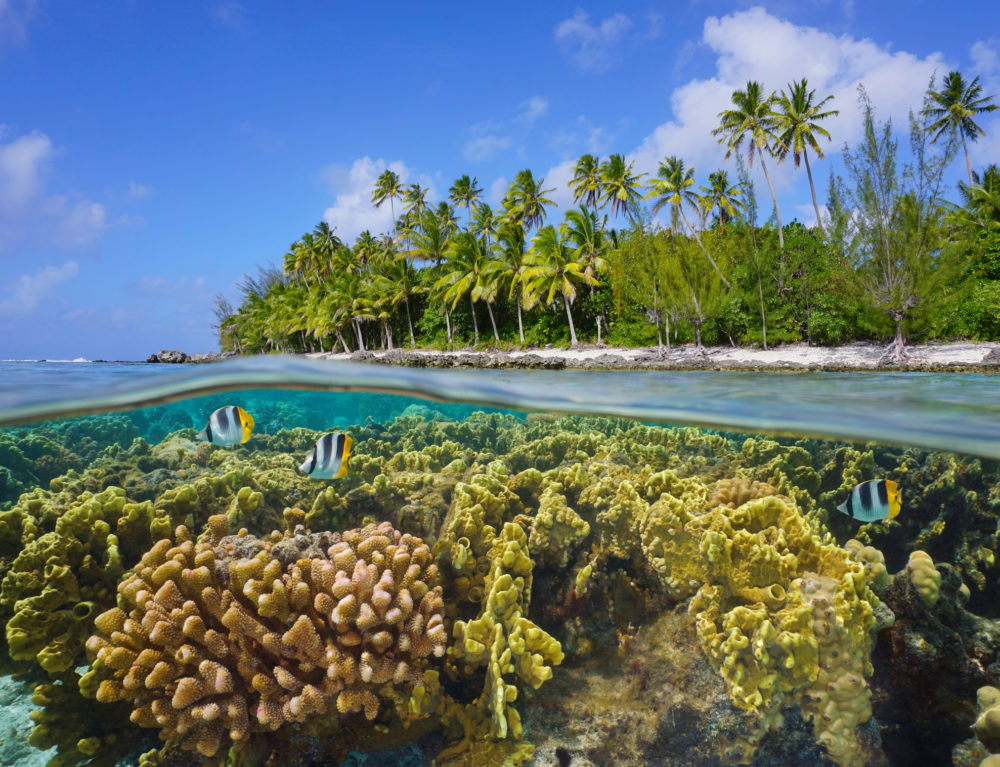 ¿Qué es el maná en Polinesia?