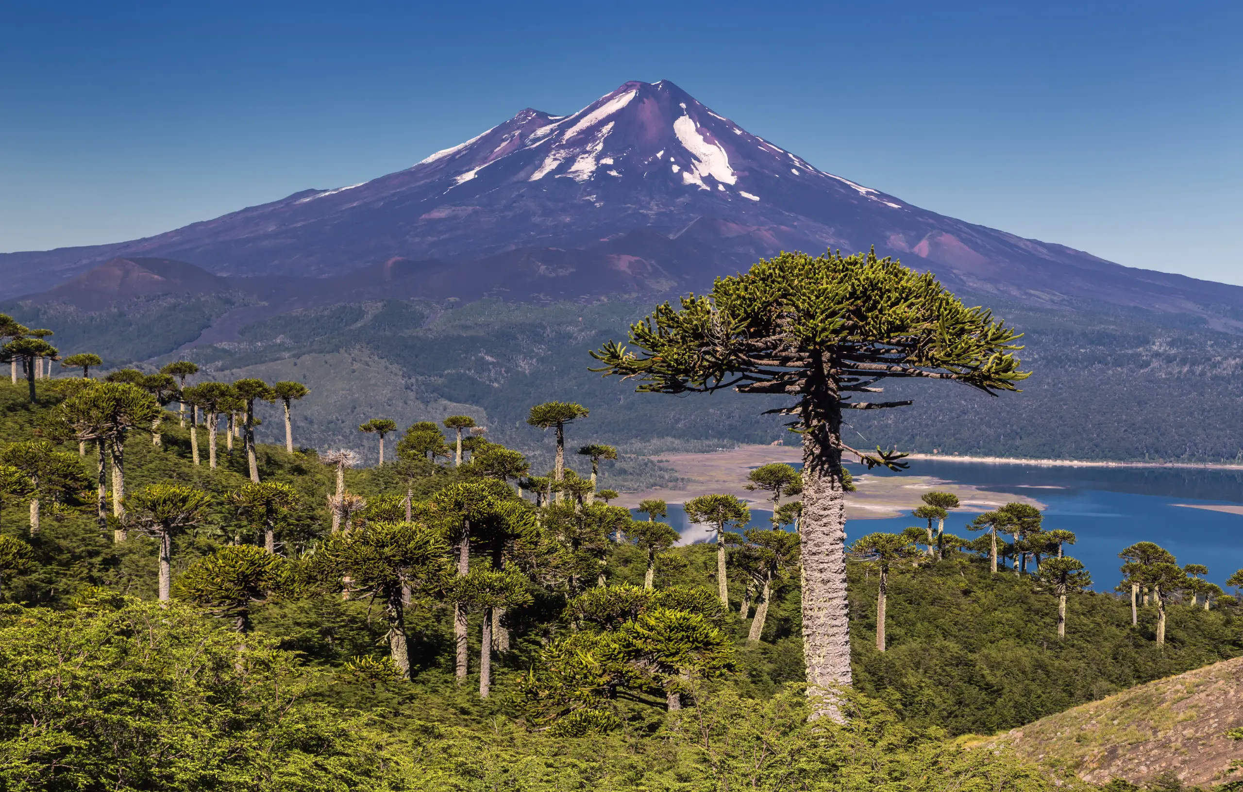 ¿Dónde viajar en otoño en Chile? ¿Dónde viajar en otoño en Chile?