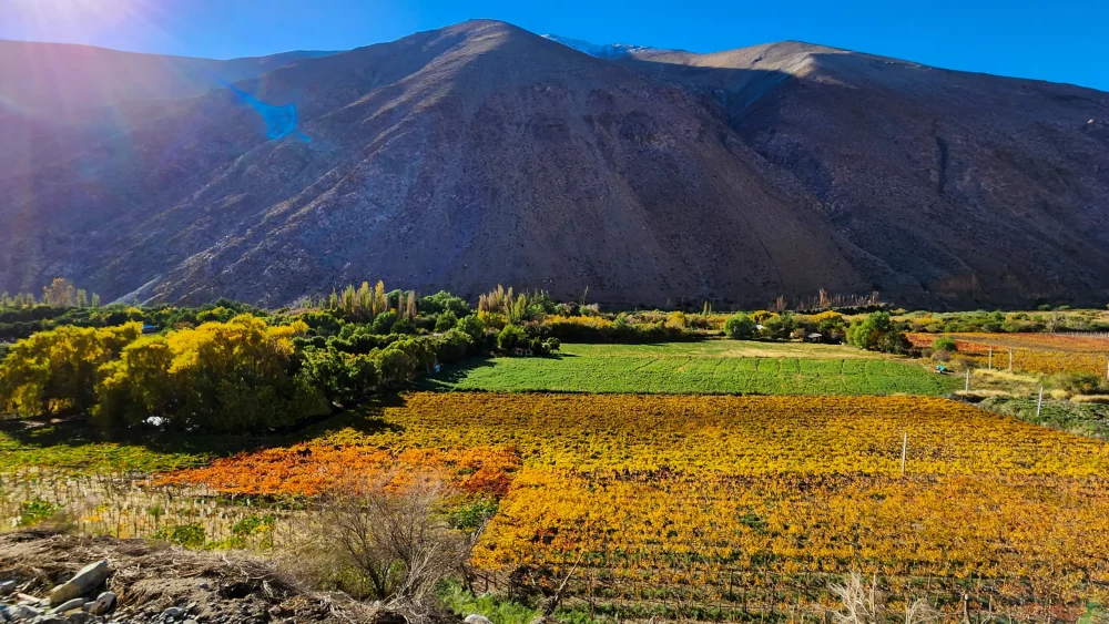 valle-elqui-1000x563 - ¿Dónde viajar en otoño en Chile?