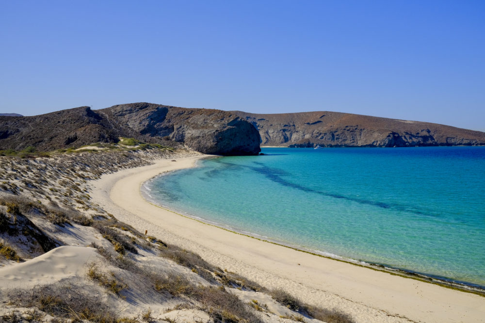iStock-1367855659-1000x667 - 3 playas para surfear en México