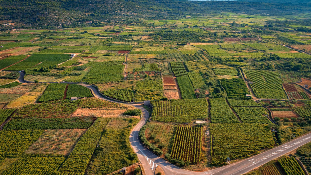 image2-1000x563 - Hvar: una isla que ya no tiene nada que demostrar