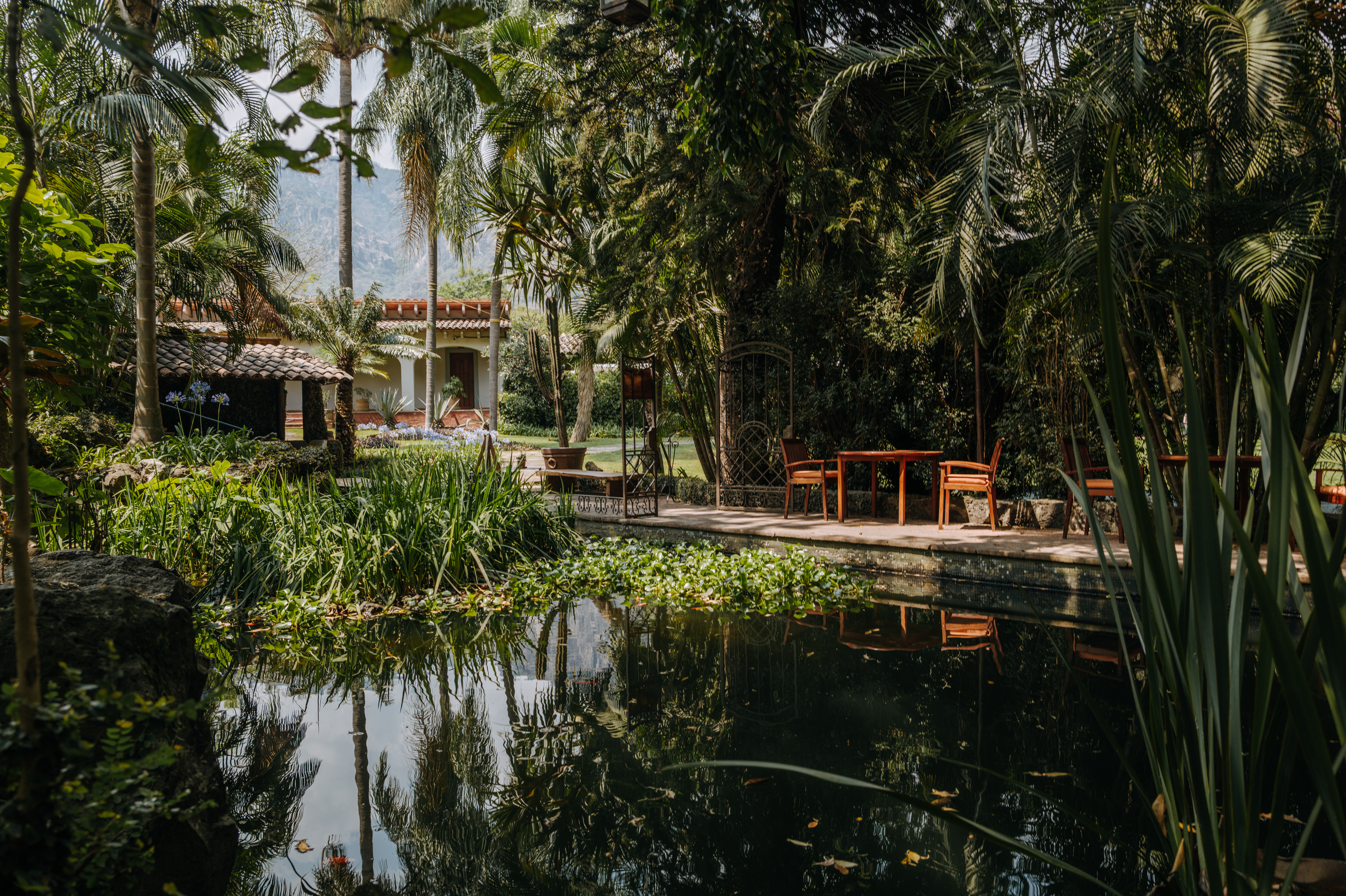 1-3 - Amomoxtli: descanso sagrado a las faldas del Tepozteco 