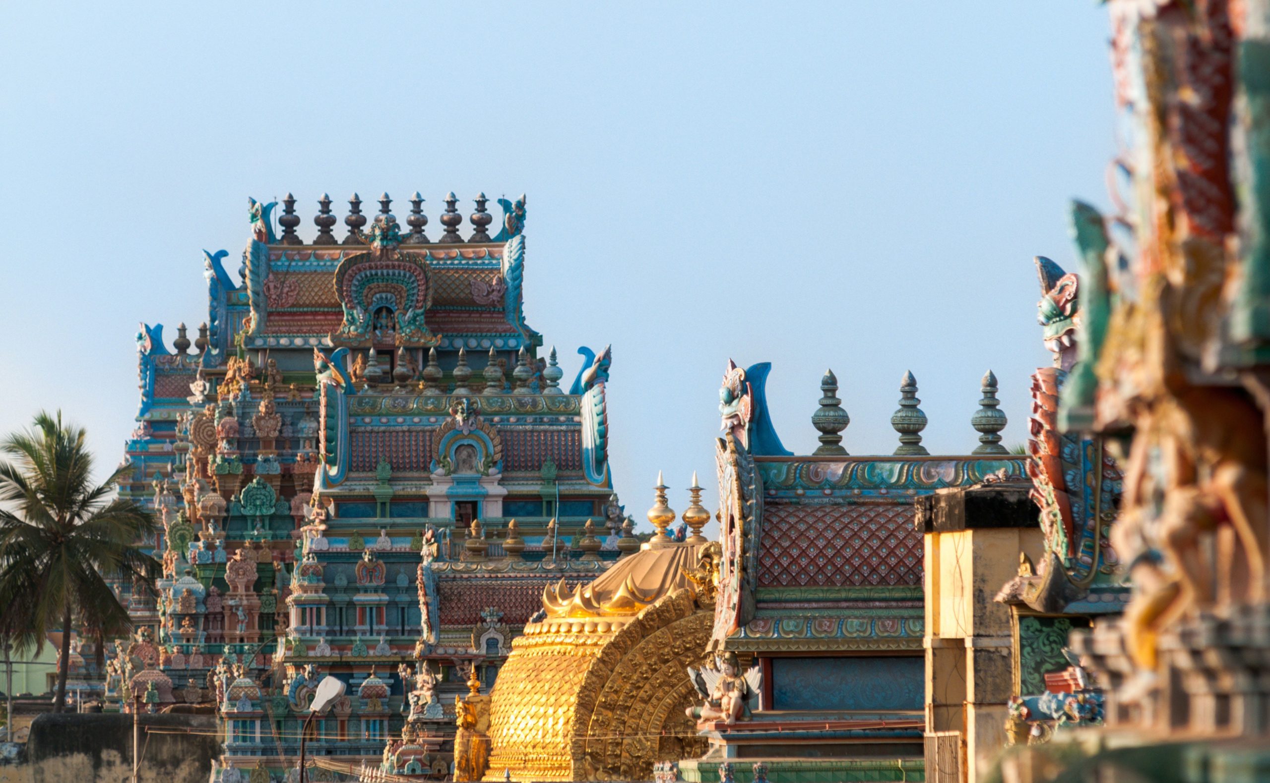 5 hoteles increíbles en el sur de la India, según un experto en viajes