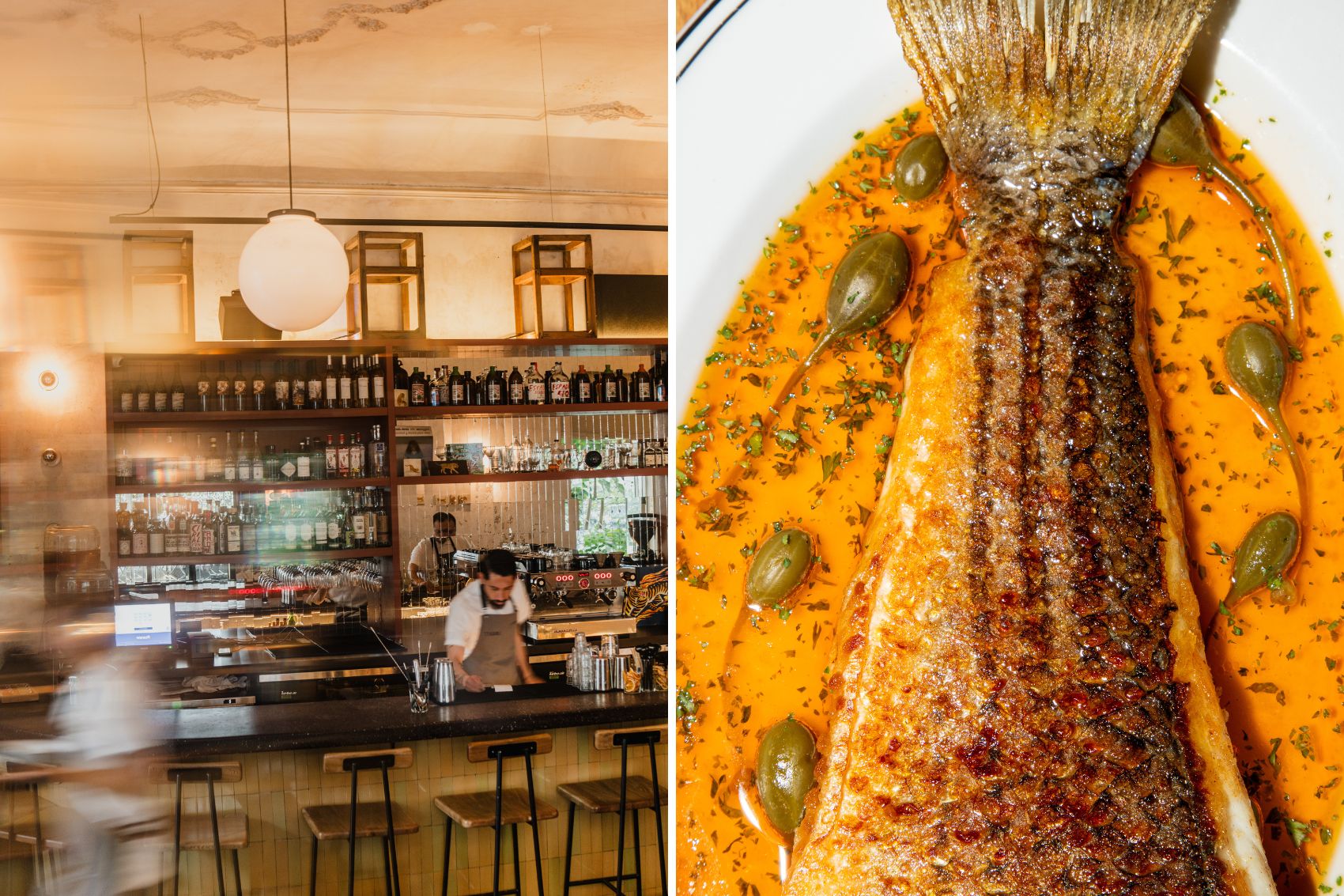 Los mejores restaurantes en la CDMX de 2026, según OpenTable 