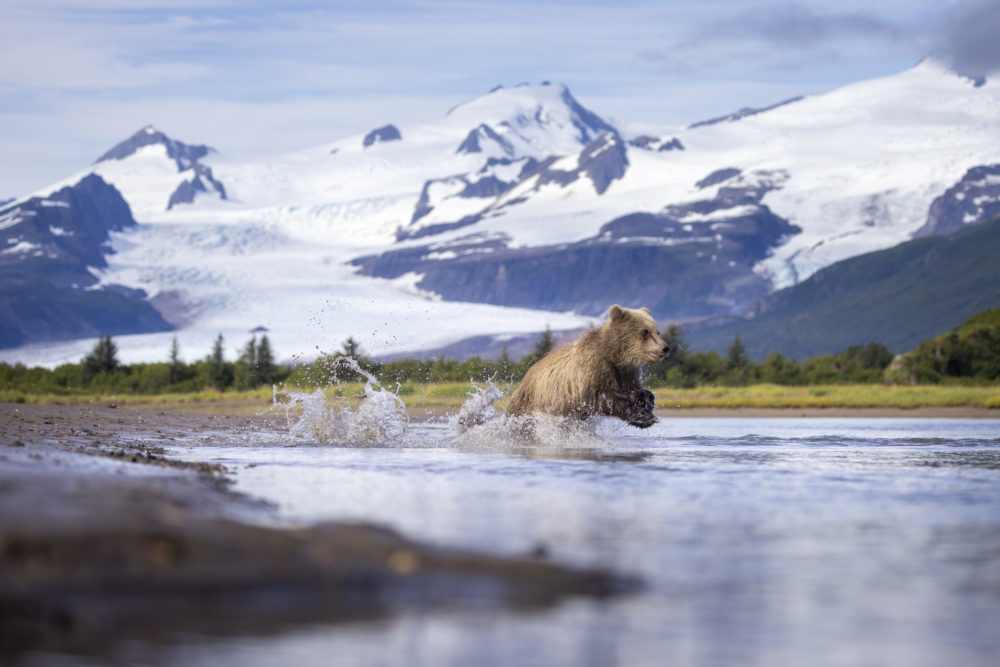 Visita los 8 Parques Nacionales de Alaska en un viaje épico Visita los 8 Parques Nacionales de Alaska en un viaje épico